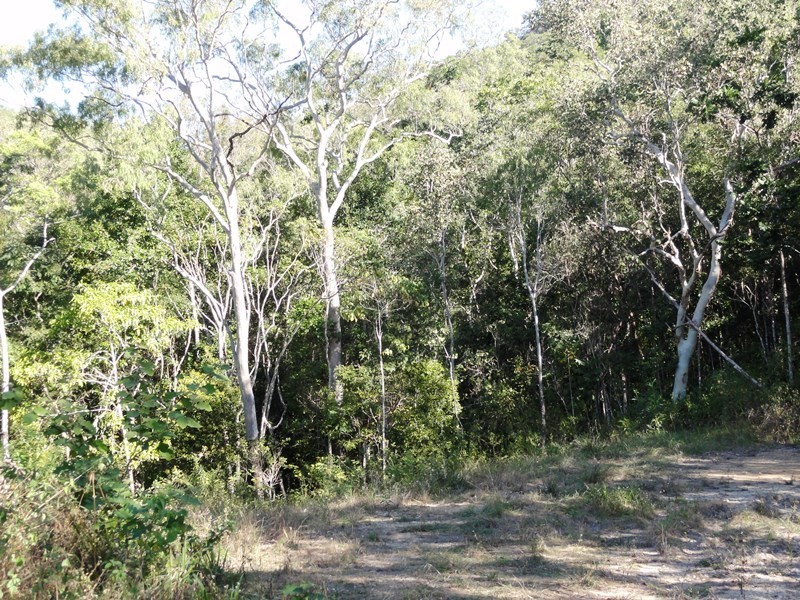 0 – Lot 11 Winchester Court, Mount Marlow QLD 4800