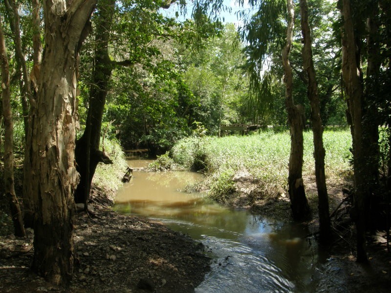 Lot 6 Tailing Gully Road, Proserpine QLD 4800