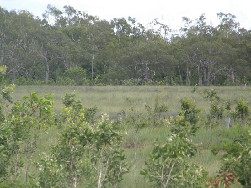 Lot 6 Tailing Gully Road, Proserpine QLD 4800