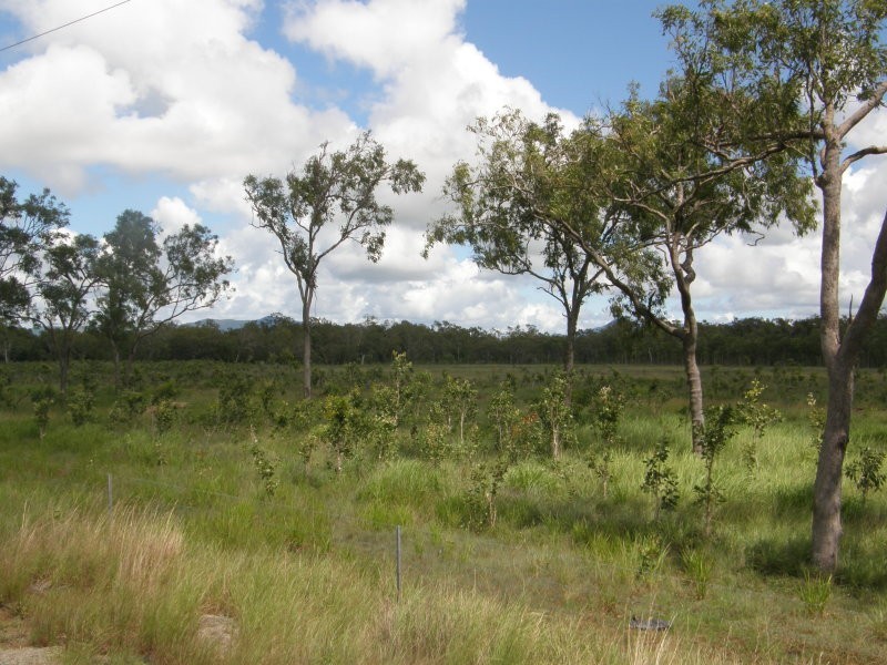 Lot 6 Tailing Gully Road, Proserpine QLD 4800
