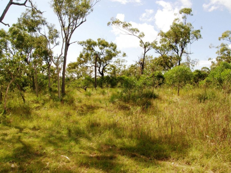 35 O’Flynn Crescent, Midge Point QLD 4799