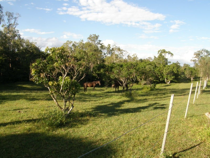 2246 Crystalbrook Road, Crystal Brook QLD 4800