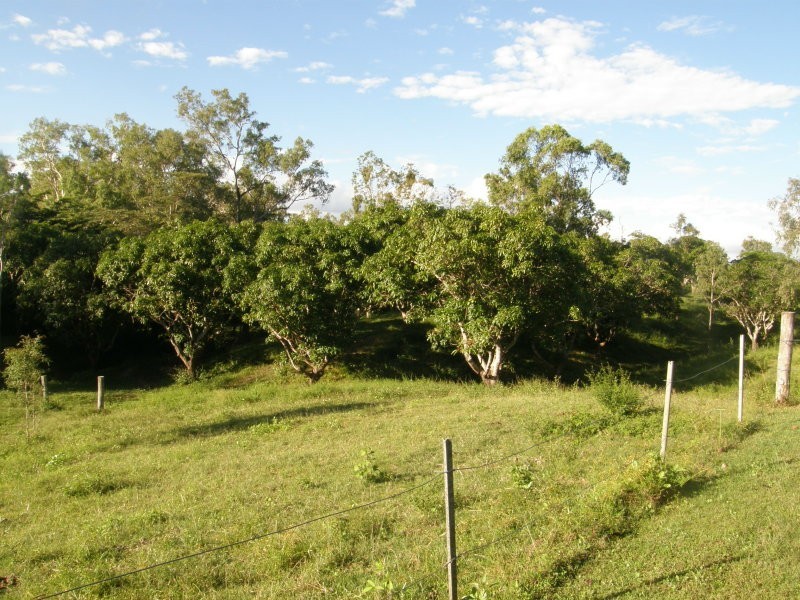 2246 Crystalbrook Road, Crystal Brook QLD 4800