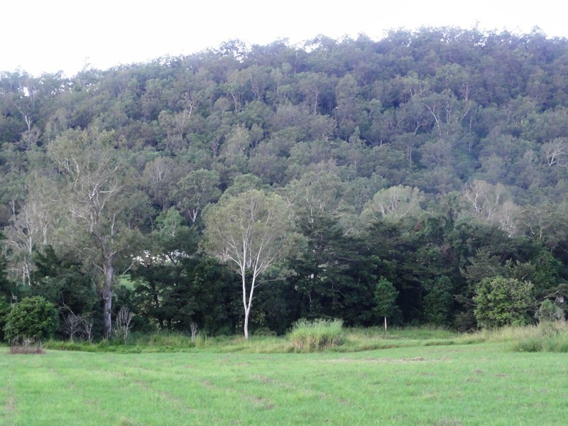 35 Royston Park Drive, Kuttabul QLD 4741