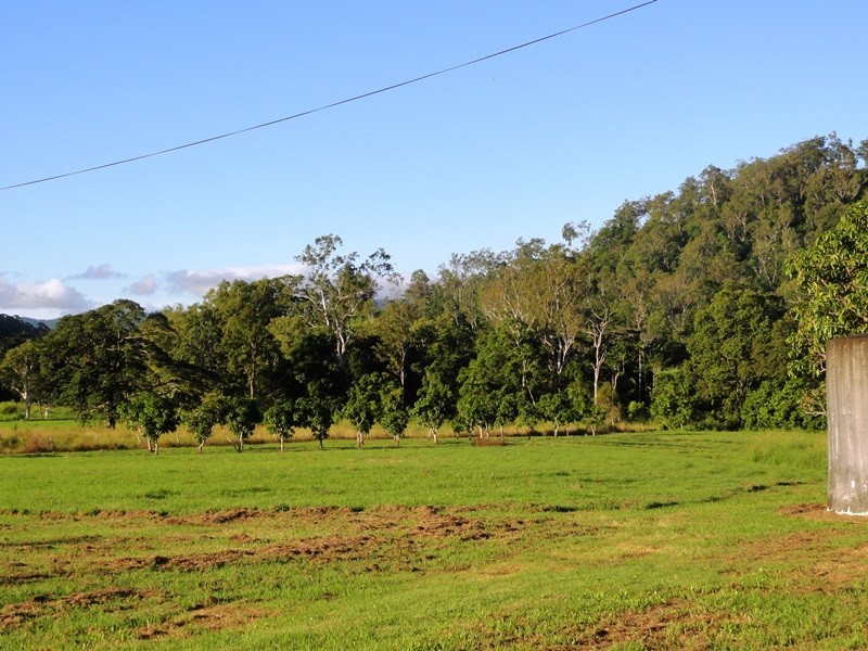 35 Royston Park Drive, Kuttabul QLD 4741