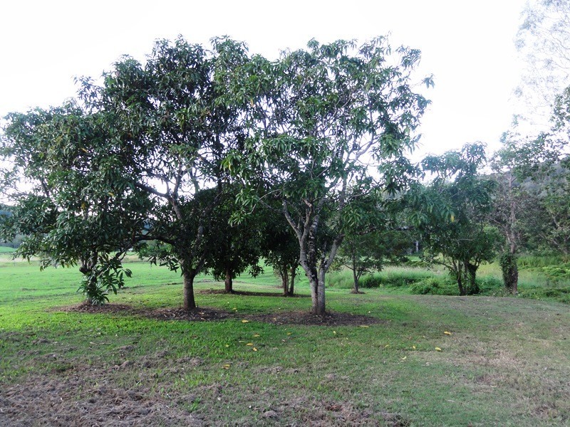 35 Royston Park Drive, Kuttabul QLD 4741