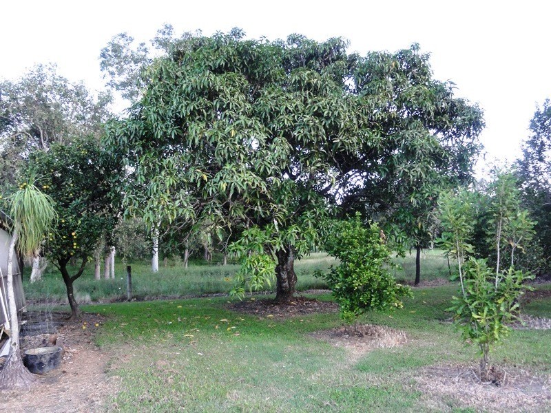 35 Royston Park Drive, Kuttabul QLD 4741