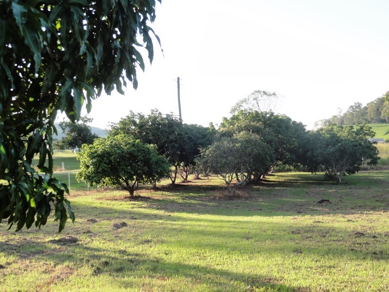 35 Royston Park Drive, Kuttabul QLD 4741