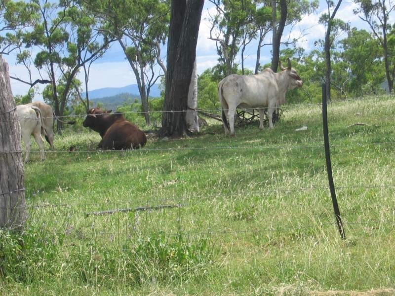 Lot  Bruce Highway, Bowen QLD 4805