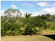 22 Pioneer Drive, Dingo Beach QLD 4800