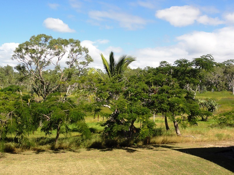 22 Pioneer Drive, Dingo Beach QLD 4800