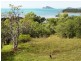 15 Blackcurrant Drive, Hideaway Bay QLD 4800