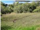 15 Blackcurrant Drive, Hideaway Bay QLD 4800