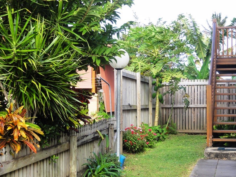 24 Ti Tree Avenue, Conway Beach QLD 4800