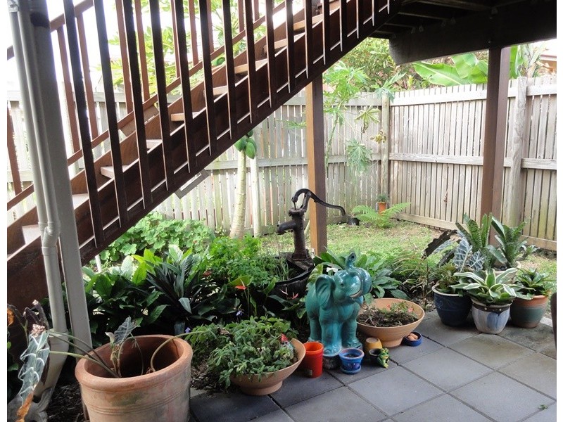 24 Ti Tree Avenue, Conway Beach QLD 4800