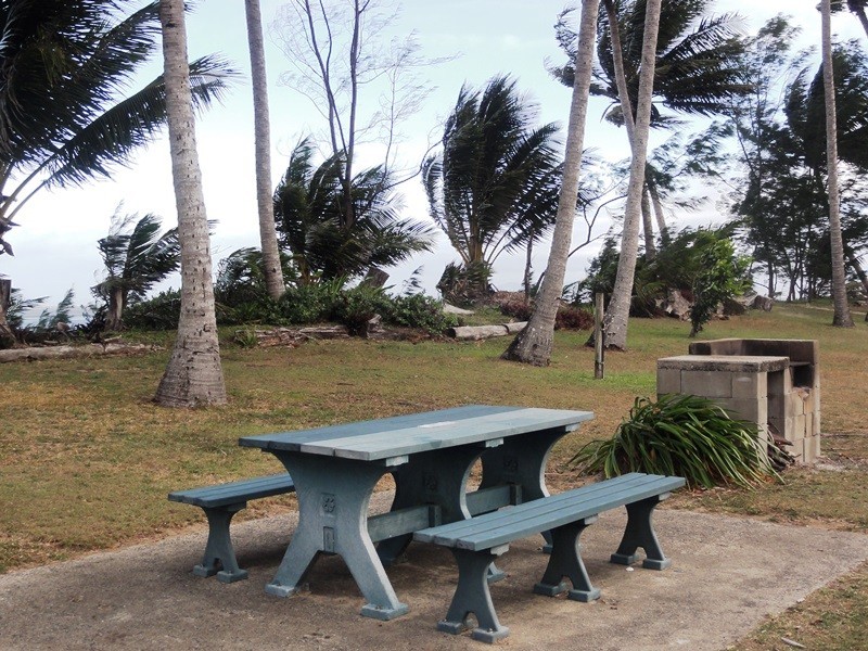 24 Ti Tree Avenue, Conway Beach QLD 4800