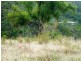 33 Roseric Crescent, Hideaway Bay QLD 4800