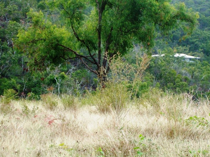 33 Roseric Crescent, Hideaway Bay QLD 4800