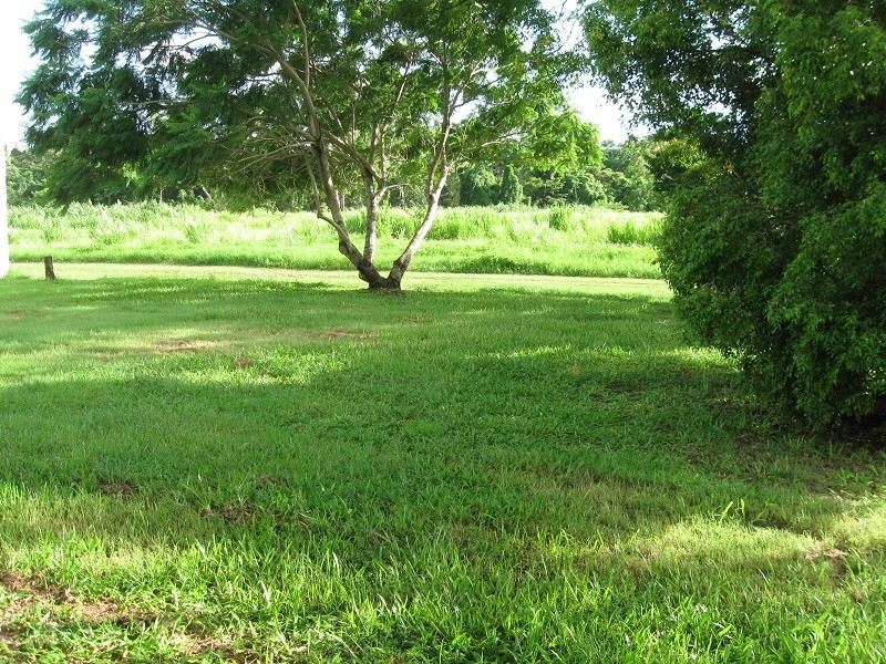 43 Bundesen Avenue, Midge Point QLD 4799