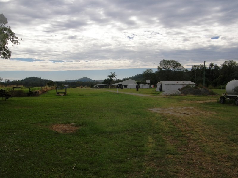 101 Olivettas Road, Bloomsbury QLD 4799