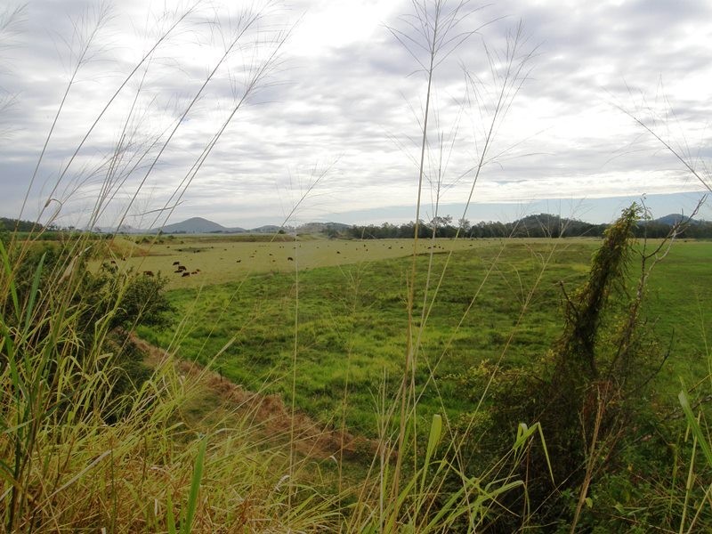 101 Olivettas Road, Bloomsbury QLD 4799