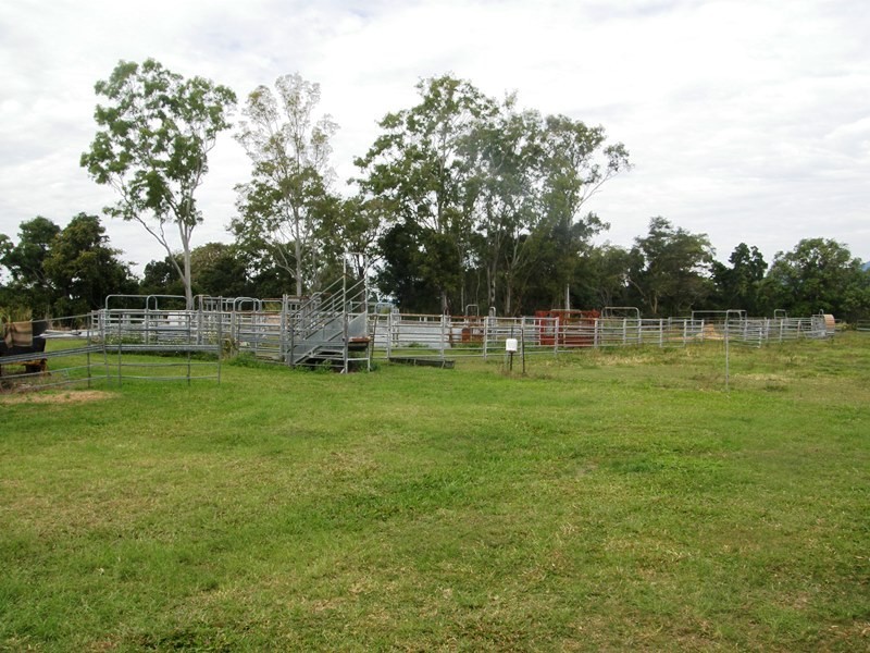 101 Olivettas Road, Bloomsbury QLD 4799