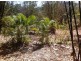 Cannonvale QLD 4802