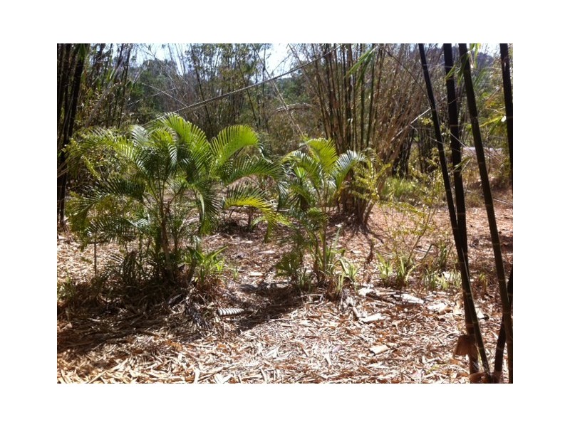 Cannonvale QLD 4802