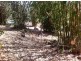 Cannonvale QLD 4802