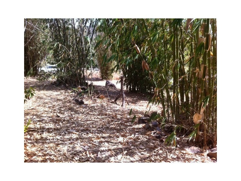 Cannonvale QLD 4802