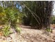Cannonvale QLD 4802