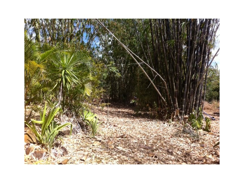 Cannonvale QLD 4802