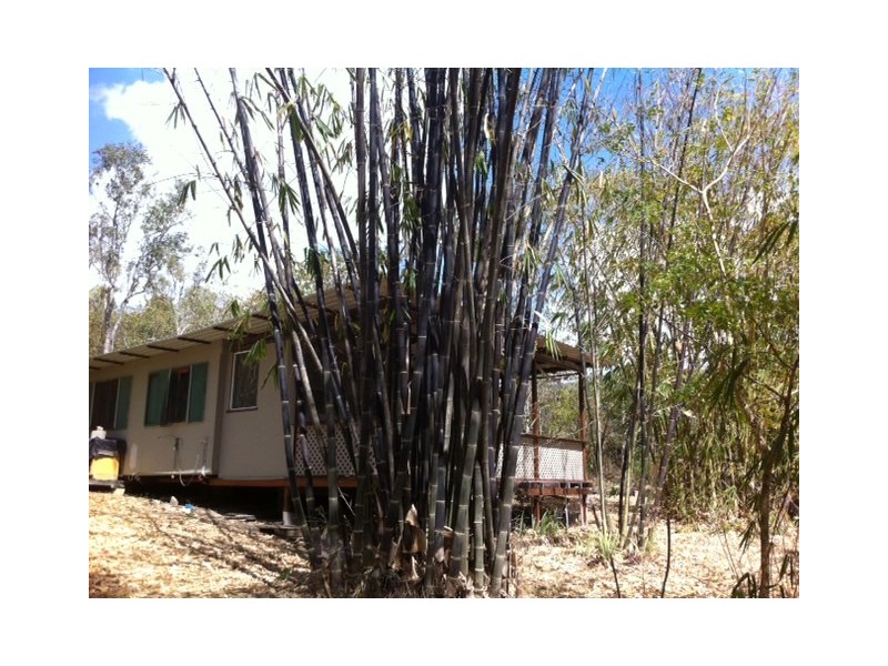 Cannonvale QLD 4802