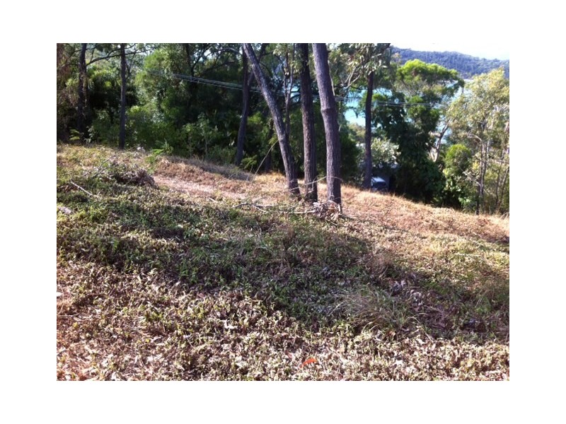 Shute Harbour QLD 4802