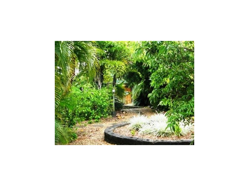 111 Campbells Road, Bloomsbury QLD 4799