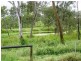 111 Campbells Road, Bloomsbury QLD 4799