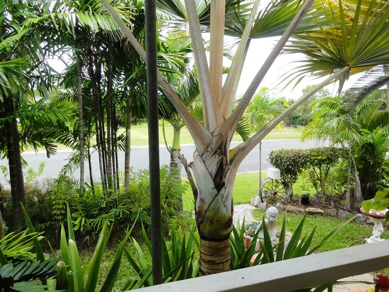 93 Gloucester Avenue, Hideaway Bay QLD 4800