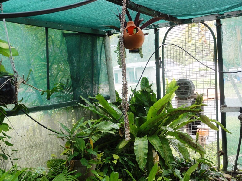 93 Gloucester Avenue, Hideaway Bay QLD 4800