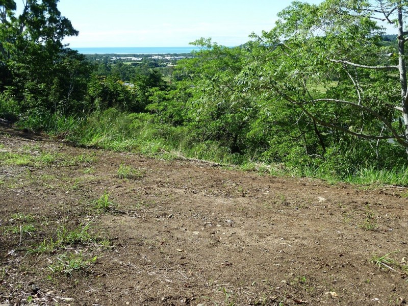 19 Pepperberry Lane, Cannon Valley QLD 4800