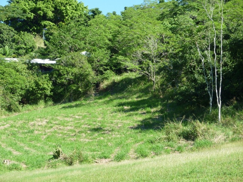 19 Pepperberry Lane, Cannon Valley QLD 4800