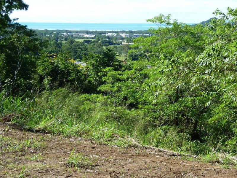 19 Pepperberry Lane, Cannon Valley QLD 4800