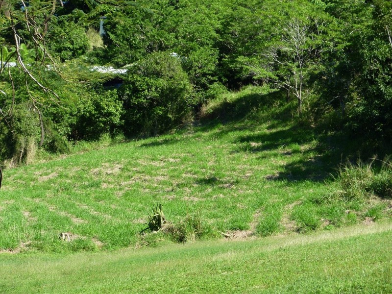 19 Pepperberry Lane, Cannon Valley QLD 4800