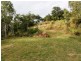 29 Rattray Avenue, Hideaway Bay QLD 4800