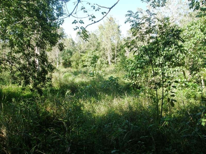 Cnr Midge Pt. Rd. and Whitsunday Dve, Bloomsbury QLD 4799