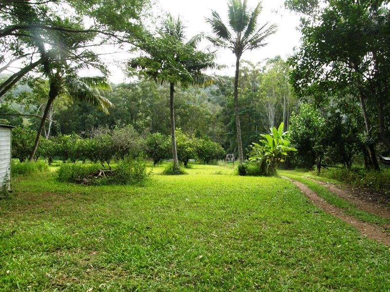 57 Forestry, Brandy Creek QLD 4800