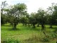 57 Forestry, Brandy Creek QLD 4800