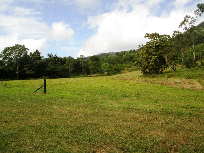 57 Forestry, Brandy Creek QLD 4800