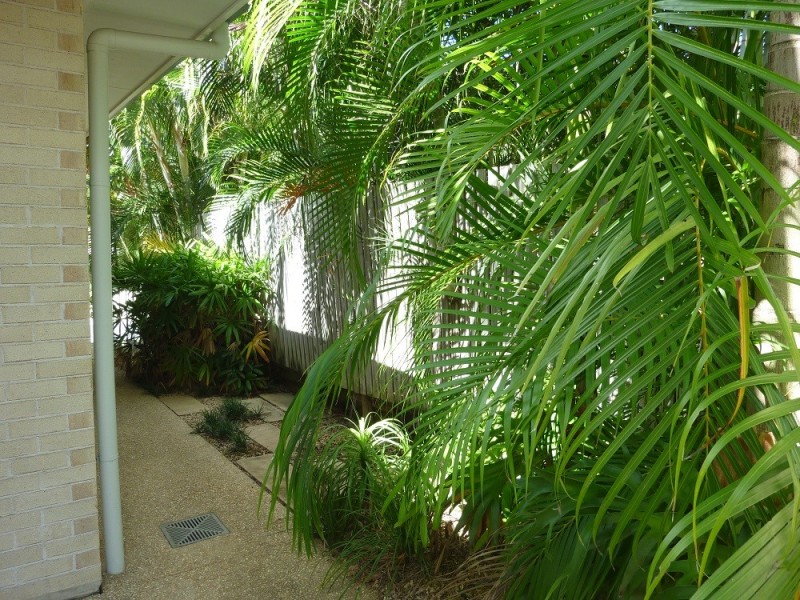 Cnr Moonlight Drive and Sunset Dr, Jubilee Pocket QLD 4802