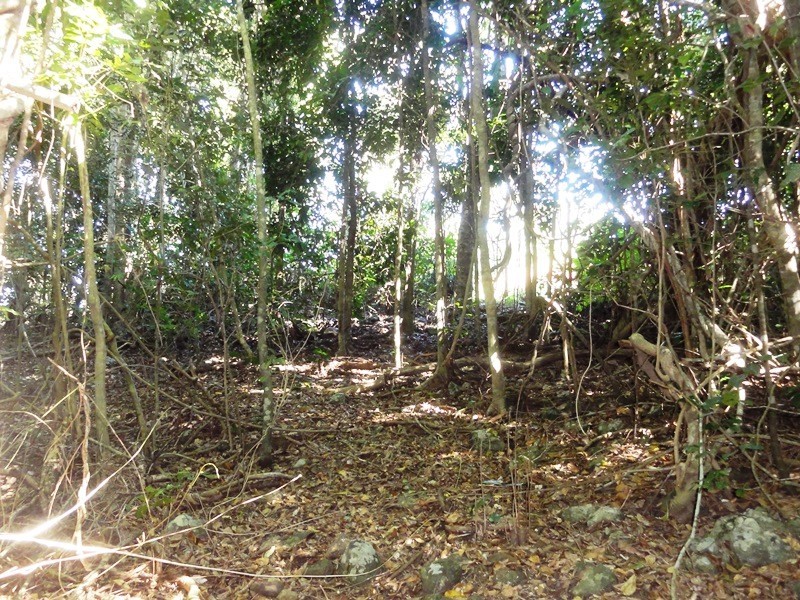 Lot 10 Camille Drive, Strathdickie QLD 4800