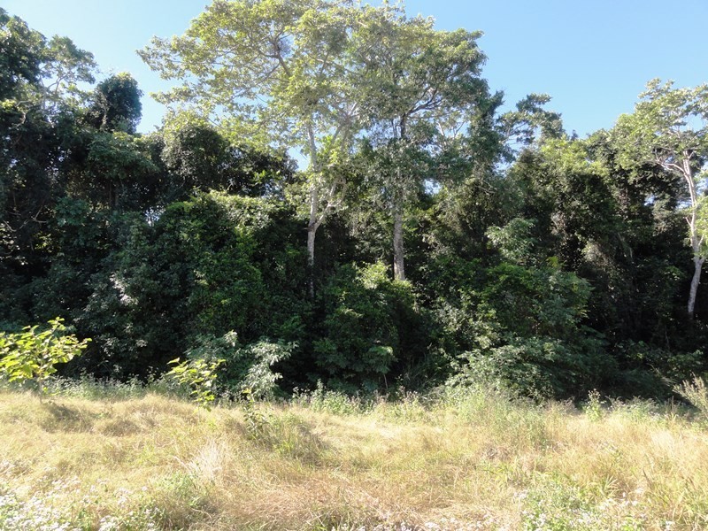 Lot 10 Camille Drive, Strathdickie QLD 4800